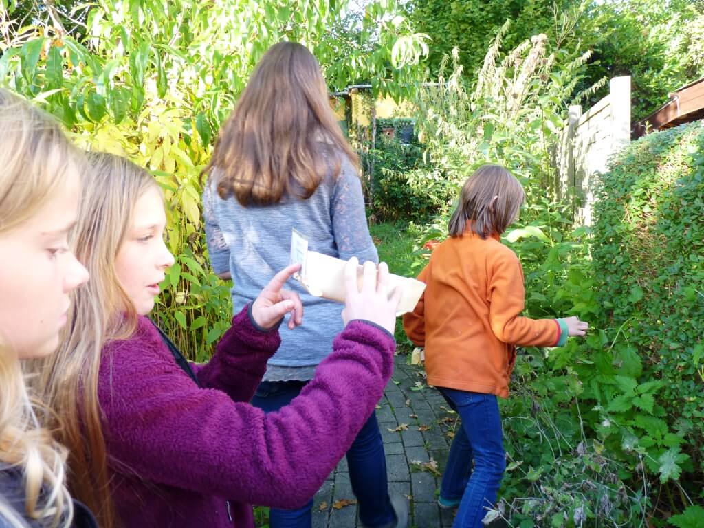 Die Kinder erkunden die heimischen Kräuter in Christine Gerlachs Garten